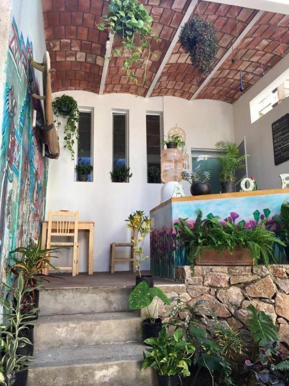Palapa Chili # Villa Sayulita Buitenkant foto