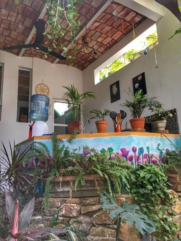 Palapa Chili # Villa Sayulita Buitenkant foto