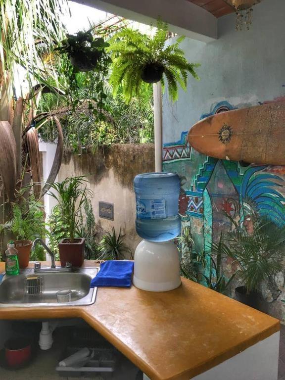 Palapa Chili # Villa Sayulita Buitenkant foto
